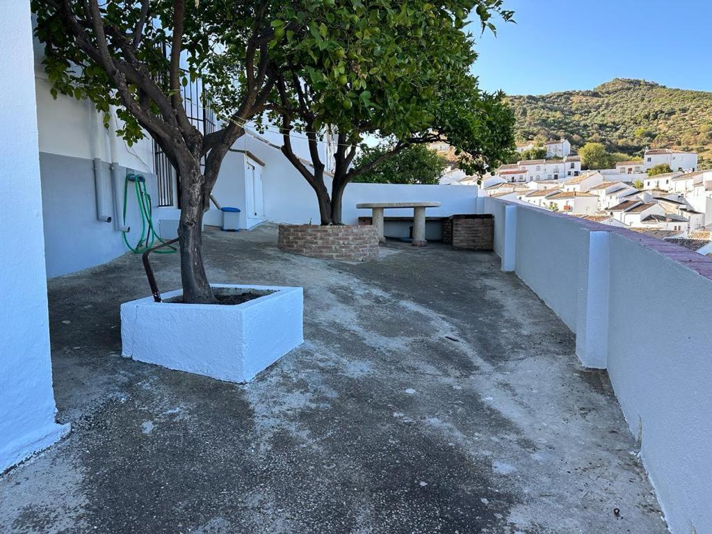 Apartamento Antonia Zahara De La Sierra Exterior photo